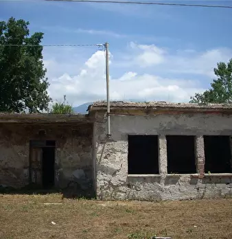 Foto annuncio 4