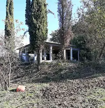 Foto annuncio 3