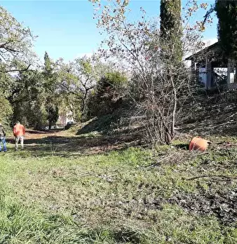 Foto annuncio 4
