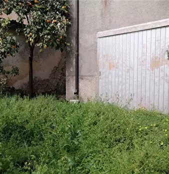 Foto annuncio 12