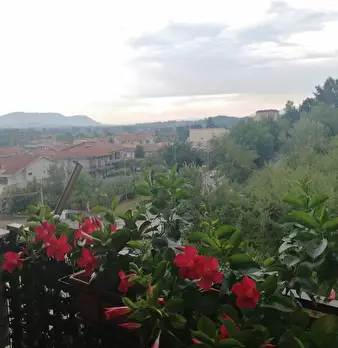 Foto annuncio 13