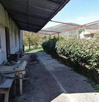Foto annuncio 9