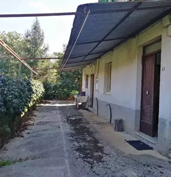 Foto annuncio 2