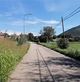 Foto annuncio 3