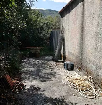 Foto annuncio 7
