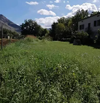 Foto annuncio 8