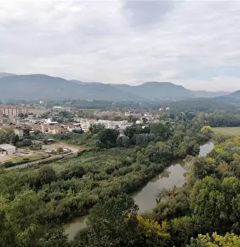 Foto annuncio 8
