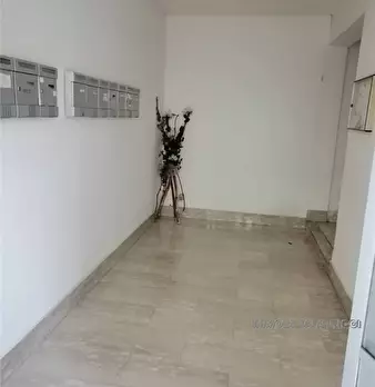 Foto annuncio 4