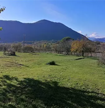 Foto annuncio 11