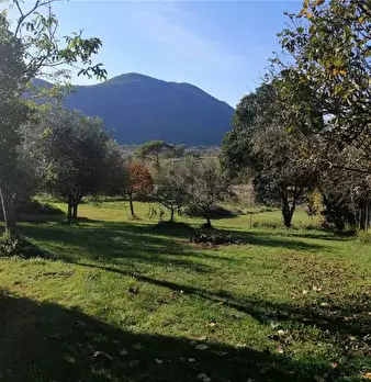 Foto annuncio 12