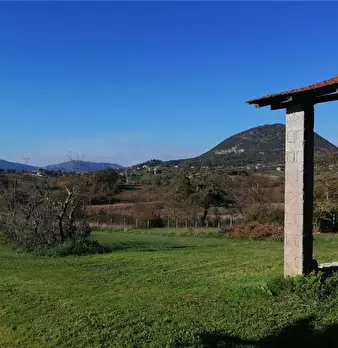 Foto annuncio 15