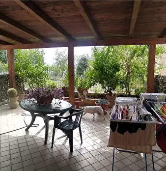 Foto annuncio 9