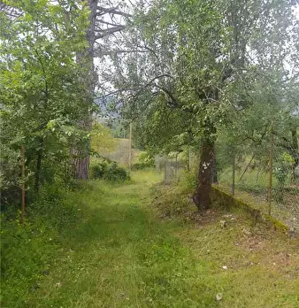 Foto annuncio 10