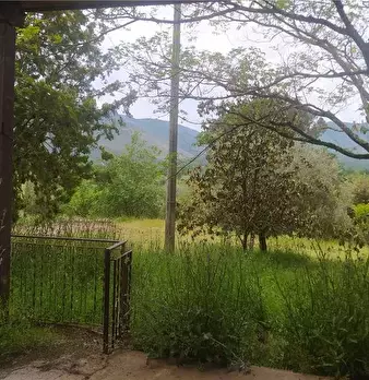 Foto annuncio 6