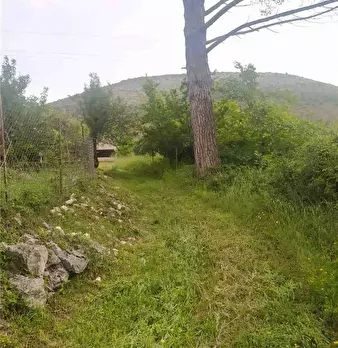 Foto annuncio 7