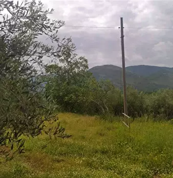 Foto annuncio 8