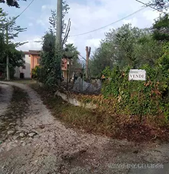 Foto annuncio 14