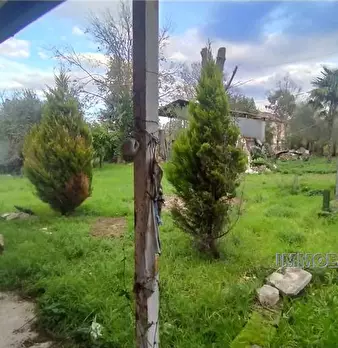 Foto annuncio 7