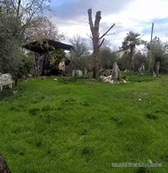 Foto annuncio 8
