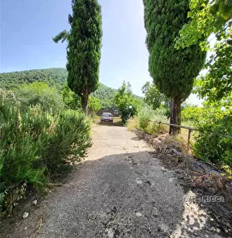 Foto annuncio 10