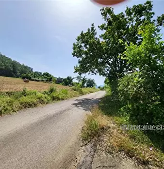 Foto annuncio 11