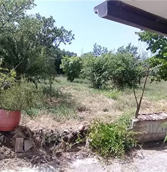Foto annuncio 13