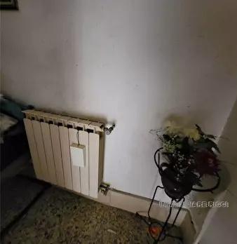 Foto annuncio 6