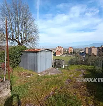 Foto annuncio 5