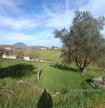 Foto annuncio 7