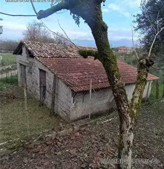 Foto annuncio 11