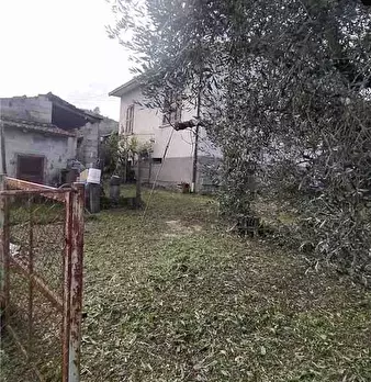 Foto annuncio 12