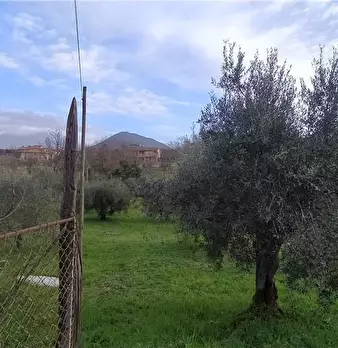 Foto annuncio 13