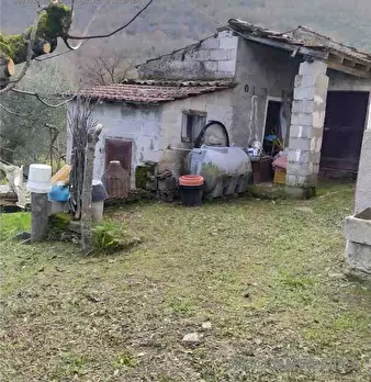 Foto annuncio 6
