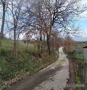 Foto annuncio 7
