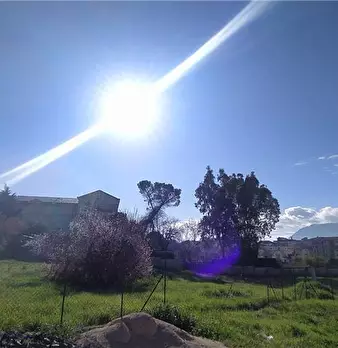 Foto annuncio 4