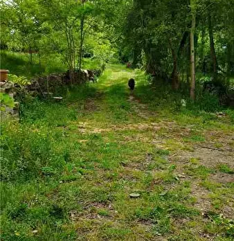 Foto annuncio 10
