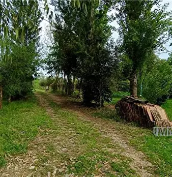 Foto annuncio 8