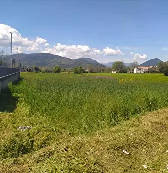 Foto annuncio 2
