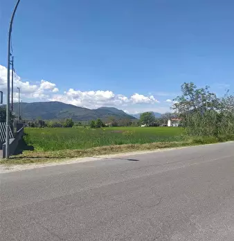 Foto annuncio 5