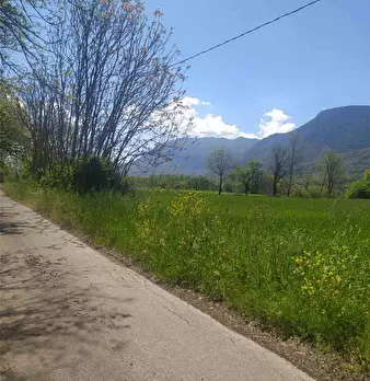 Foto annuncio 3