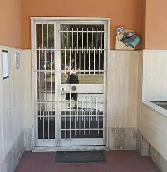 Foto annuncio 4
