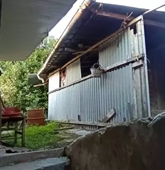 Foto annuncio 9