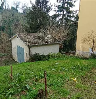 Foto annuncio 3