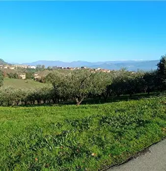 Foto annuncio 6