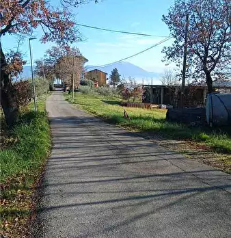 Foto annuncio 9