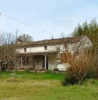 Foto annuncio 1
