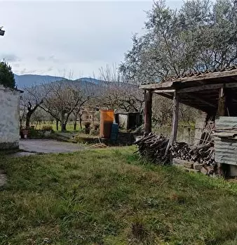 Foto annuncio 10
