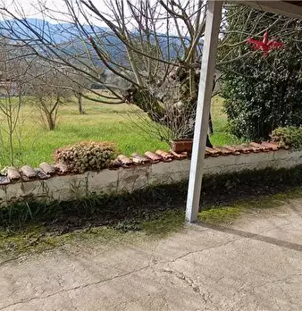 Foto annuncio 12