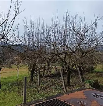 Foto annuncio 13
