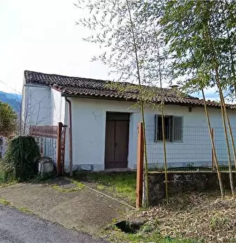 Foto annuncio 3